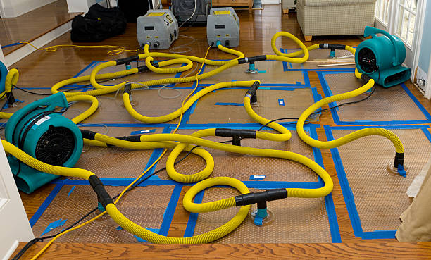 Professional Crawl Space Water Removal technician working in Granada Hills, CA